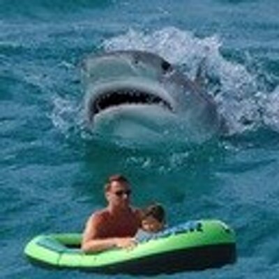 Profile Picture of Jeremy Blackburn (@jeremyblackburn) on Twitter