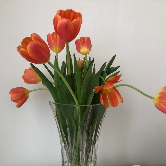 Profile Picture of Anne Larson (@pinkrosesachet) on Poshmark