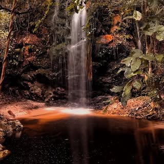 Profile Picture of Timothy Lundy (@capetownhiking) on Instagram