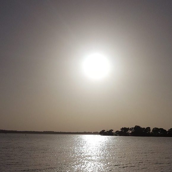 Mary Turso - Poshmark Profile Picture of Mary Turso (@maddmarys) on Poshmark