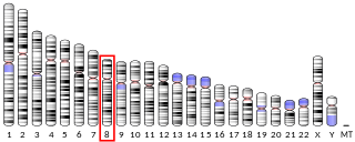 Profile Photo of Vesicular monoamine transporter 1on Wikipedia