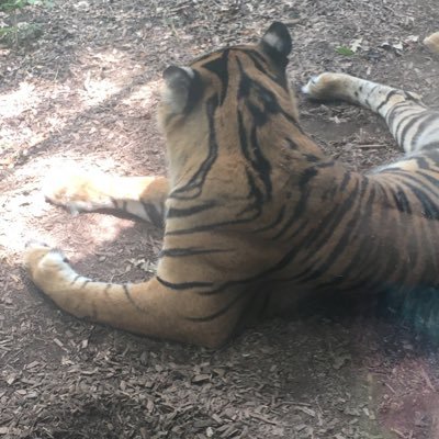 Profile Picture of Alexa Hensley (@AlexaHensley5) on Twitter