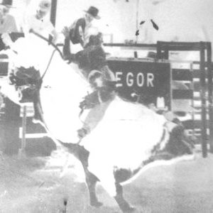 Profile Picture of Johnny Steve Boren (@boren_johnny) on Twitter