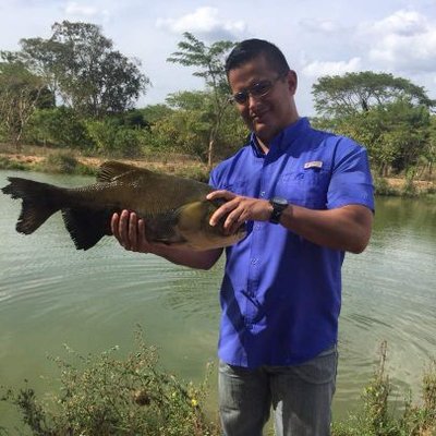 Profile Picture of Kleiner Oswaldo Oropeza (@KleinerOrop) on Twitter