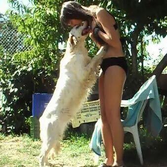 Profile Picture of Raquel Bello Pérez (@@RachelBP26) on Twitter