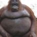 Profile Picture of Andrew Hokanson (@andrew.hokanson.52) on Facebook