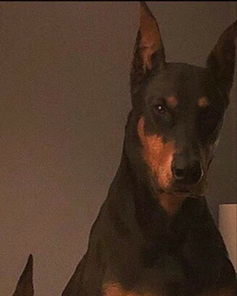 Maksim Masich - Poshmark Profile Picture of Maksim Masich (@maksimmasich) on Poshmark