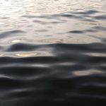 Profile Picture of Rebecca Gaetani Alvarez (@_rebecca_alvarez_) on Instagram