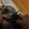 Profile Picture of Carl632 (@@kyleandrade7) on Tiktok