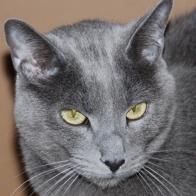 Profile Picture of Gene Yee (@GeneYee22) on Twitter