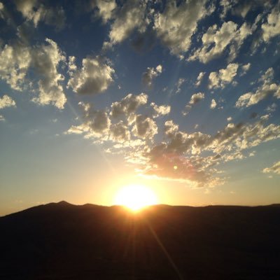 Profile Picture of Daniel Madsen (@55maddog55) on Twitter