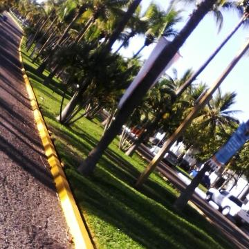 Profile Picture of Fernando Perea (@fernandoperea50) on Twitter