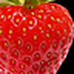 Tamara - Flickr Profile Picture of Tamara (@tamara tam tam) on Flickr