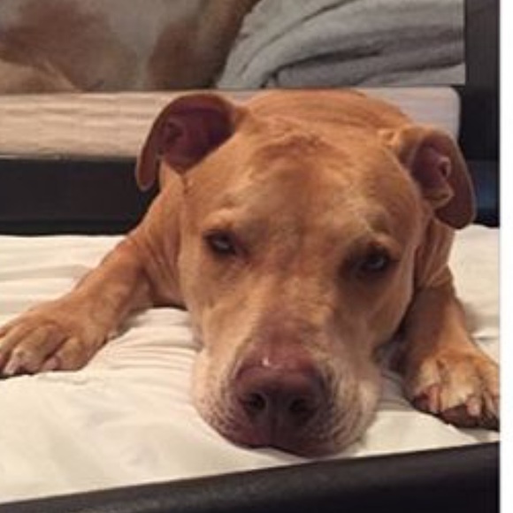 Profile Picture of Khloe Ohliger (@khloeohh) on Poshmark