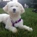 Profile Picture of Sidney Hooks (@22hooks2592) on Pinterest