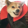Profile Picture of Kevin Cloyd (@kevincloyd3) on Tiktok