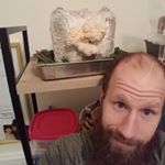 Profile Picture of Justin T. Knaub (@minerals_mushrooms_coffee) on Instagram