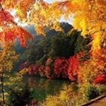 Profile Picture of Robert Cornell (@cornel_ga) on Instagram