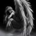 Profile Picture of Wanda Fogle (@wandafogle) on Pinterest