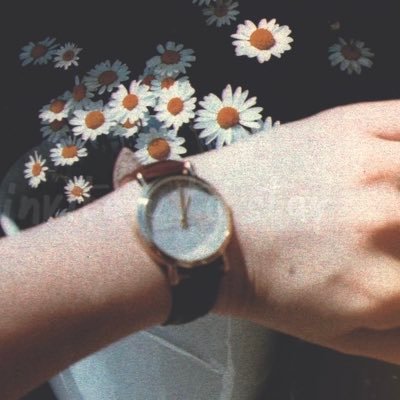 Profile Picture of Breanna Chamberlain (@Breanna63364861) on Twitter