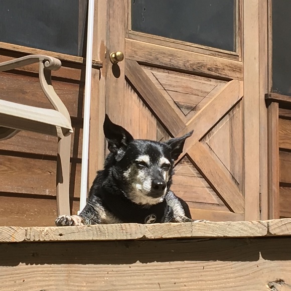 Profile Picture of Kelly Powers (@kellypowers675) on Poshmark