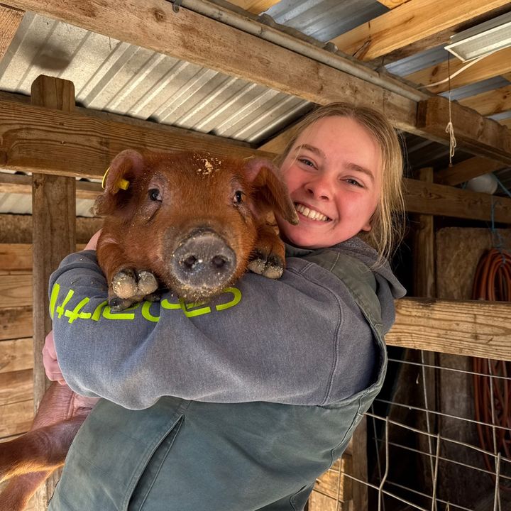 Profile Picture of Hana Harshbarger (@hanaharshbarger) on Tiktok