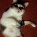 Profile Picture of Jeffry Lock (@jeffry.lock.37) on Facebook