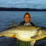 Profile Picture of Joseph Papale (@josephpapale) on Instagram