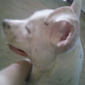 Profile Picture of Alden Marshall (@aldenxsrh) on Twitter