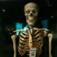 Lara Fleming - Quora Profile Picture of Lara Fleming (@lara-fleming-5) on Quora