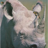 Profile Picture of Joel Karls (@joel-karls) on Quora