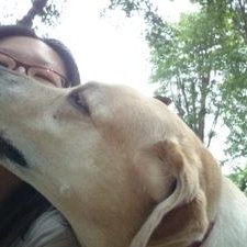 Profile Picture of Tina Hsieh (@TinaHsieh3) on Twitter