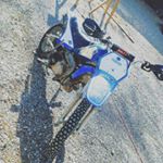 Profile Picture of jacobshanks (@jacobshanks7) on Instagram