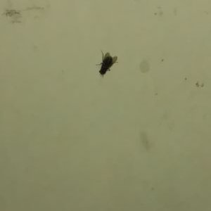 Profile Picture of Damien Rich (@ilovekicksk3vin) on Twitter