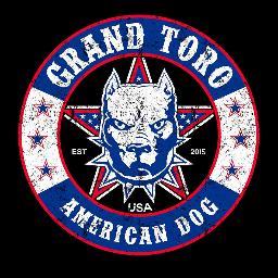 Profile Picture of Amelia Fuentes (@ItalyGrandtoro) on Twitter