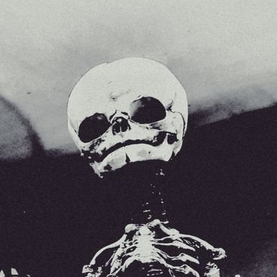 Profile Picture of Corentin Renaud (@Lazy_Ness_Guy) on Twitter