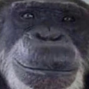 Profile Picture of Dave Lucas (@davelucas6807) on Youtube