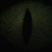 Profile Picture of Shelly Rowland (@shellyrowland2597) on Youtube