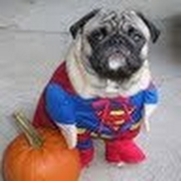 Profile Picture of Christy Pakkala (@yanks77) on Poshmark