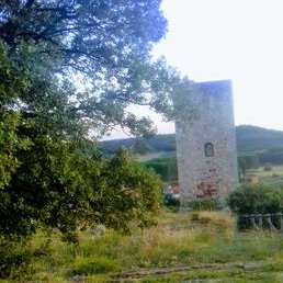 Profile Picture of FELIX Molina Hernand (@FELIXMolinaHer2) on Twitter