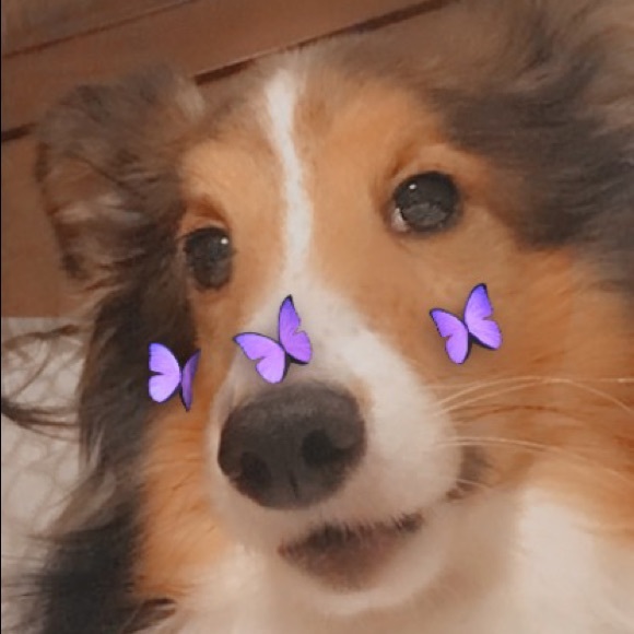 Profile Picture of Isabelle Rose (@itrose735) on Poshmark