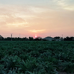 Profile Picture of As R (@hope.faith.heart) on Flickr