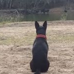 Profile Picture of Andrew Gibbs (@andrew.gibbs.923724) on Instagram