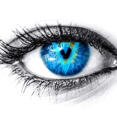 Profile Picture of Cunny (@fr33d0m44ll) on Twitter