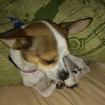 Profile Picture of Wanda Curtis (@wanda.curtis.50596) on Instagram