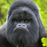 Profile Picture of Brian Bell (@dinger898) on Instagram