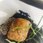 Profile Picture of Nemo Orava-Laurikainen (@nemokala) on Instagram