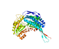 Profile Picture of Aldehyde dehydrogenase 5 family, member A1on Wikipedia