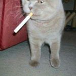 Profile Picture of Kyle Brunson (@kbrunson28) on Instagram