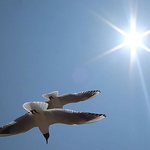 Profile Picture of Jason Barrett (@baronjassett) on Flickr